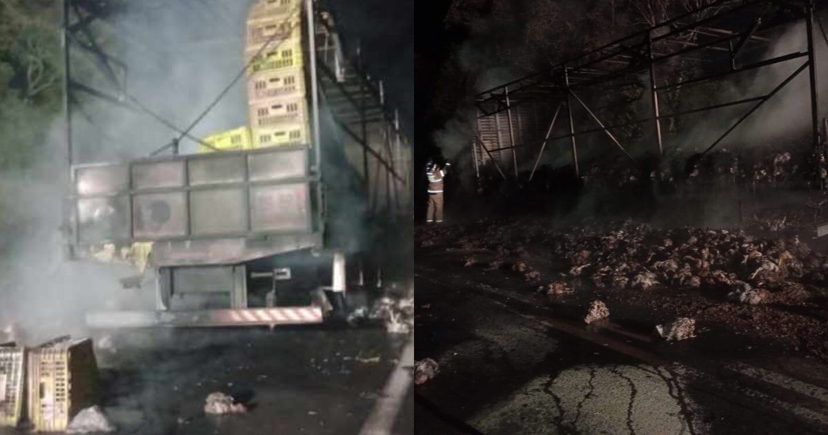 Caminhão carregado com frangos vivos pega fogo no Sudoeste do PR
