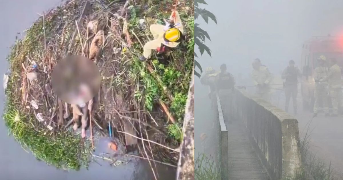 VÍDEO: motorista é jogado de ponte após assalto e passa horas preso em galhos até ser resgatado no Rio Iguaçu