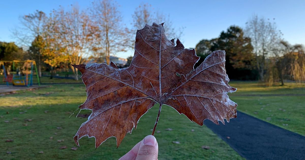 O frio chegou com força: São Mateus do Sul registra -1,4°C, a menor temperatura do ano na cidade, e amanhece com geada
