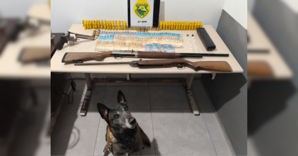 Homem é preso por tráfico de drogas e posse ilegal de armas em São Mateus do Sul
