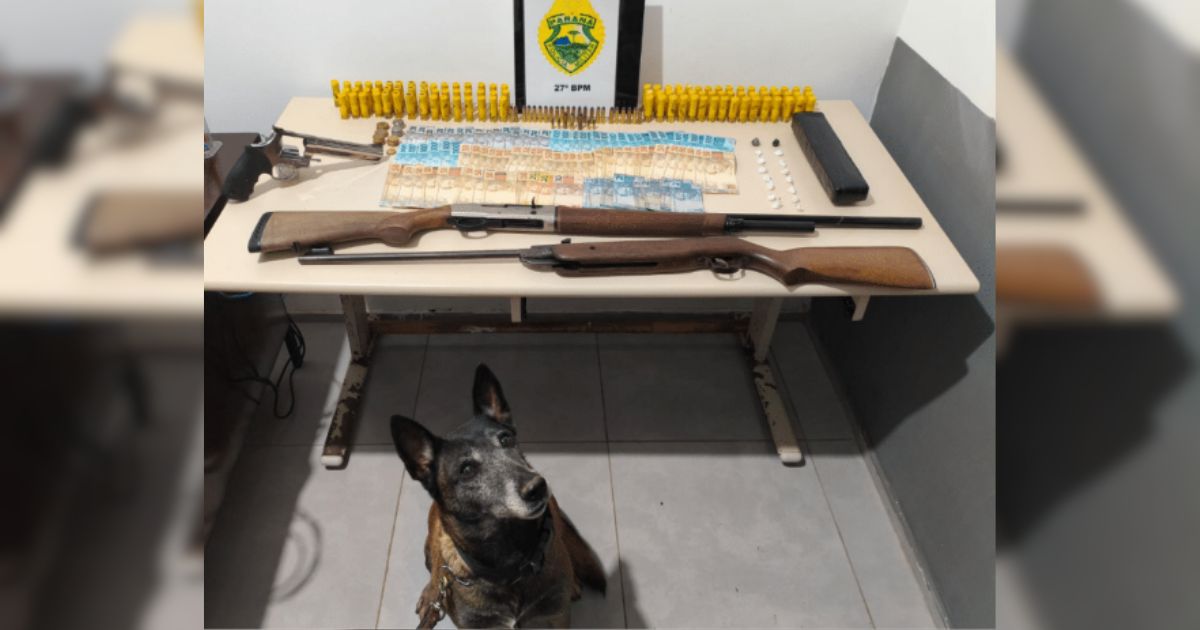 Homem é preso por tráfico de drogas e posse ilegal de armas em São Mateus do Sul