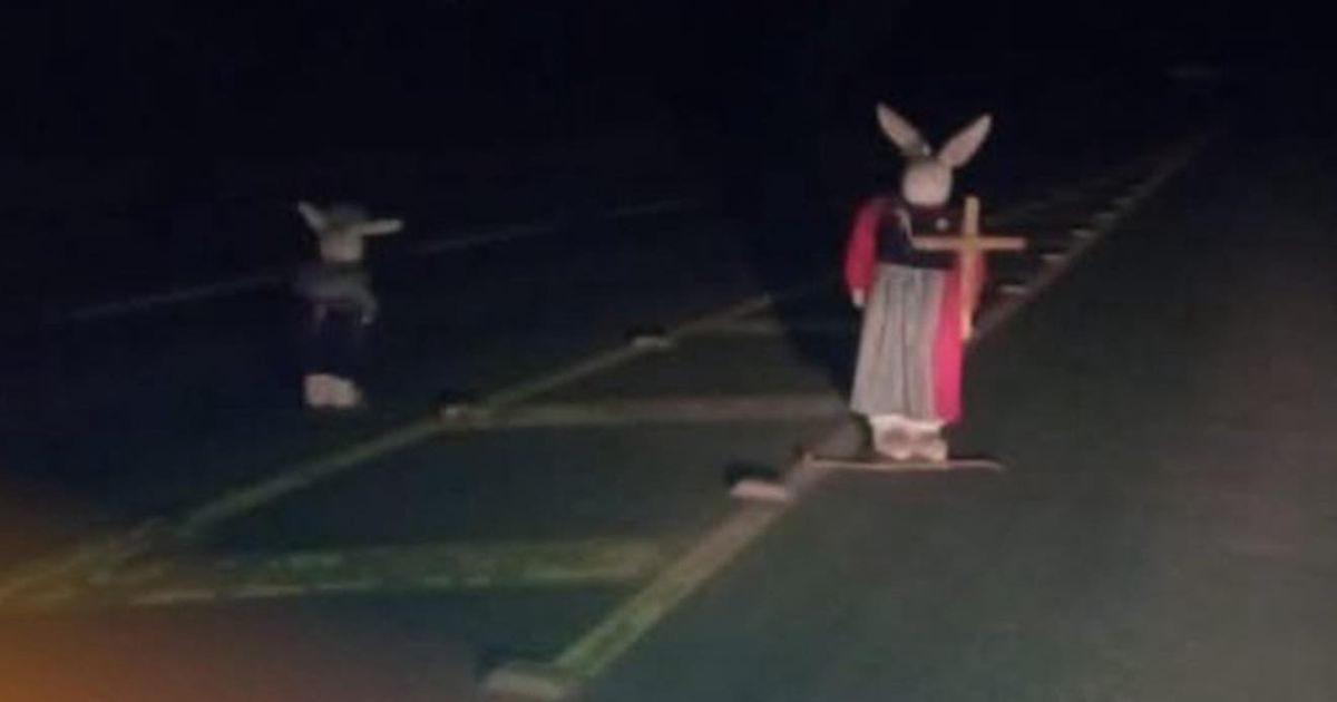 Mistério! Coelhos de pelúcia com cruzes intrigam moradores e motoristas