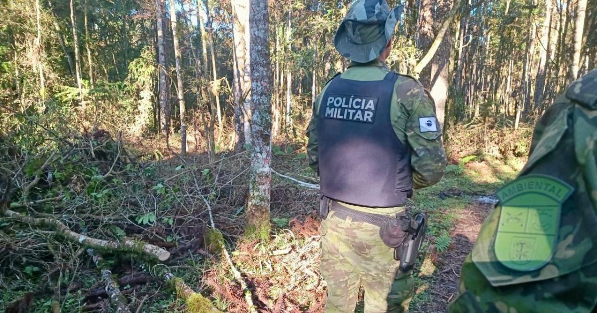 Polícia Ambiental autua proprietário em mais de R$ 200 mil por dano ambiental em Teixeira Soares