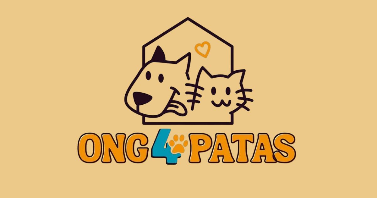 Cidade amiga dos animais: ONG  4 Patas busca apoio para continuar resgatando e cuidando de animais em São Mateus do Sul