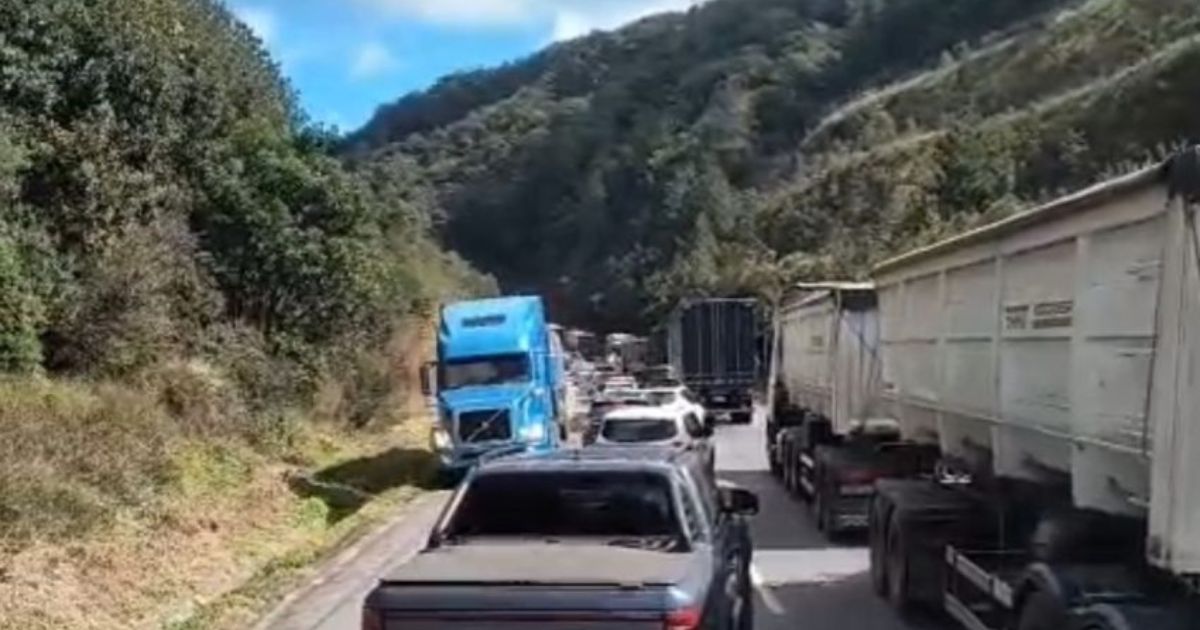 Caminhoneiros bêbados são flagrados pela PRF na contramão da BR-277, em Balsa Nova