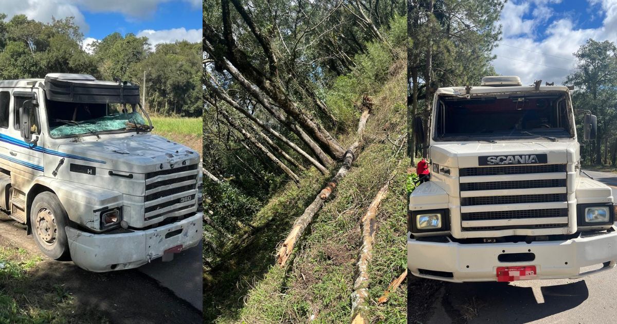 ATENÇÃO: queda de árvore atinge dois caminhões na BR-476 em São Mateus do Sul
