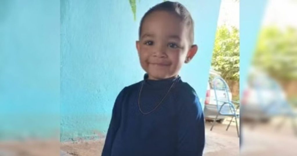 Picada de escorpião causa 33 paradas cardíacas e morte de criança no Paraná
