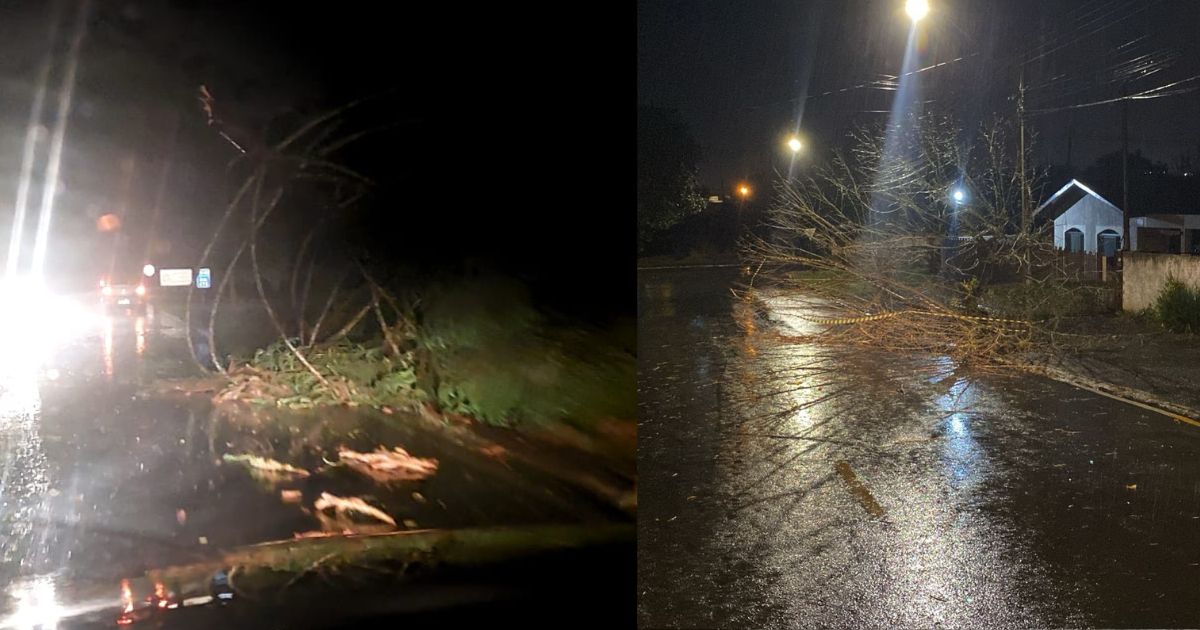Chuva e ventos derrubam árvores e mobilizam bombeiros em São Mateus do Sul