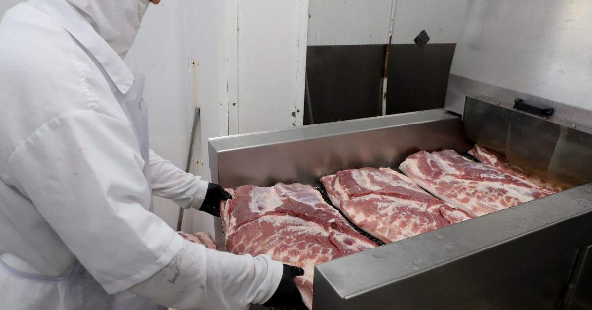 Chile reconhece Paraná como livre de febre aftosa e abre mercado para carnes