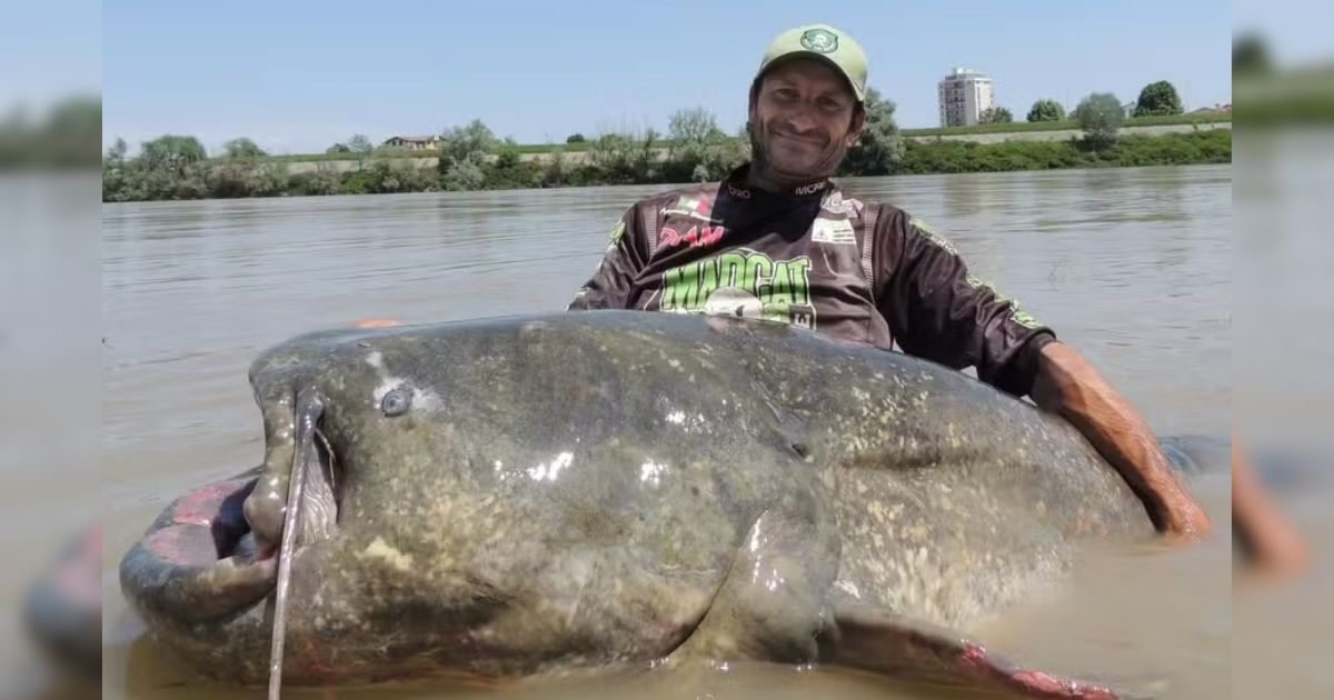 “O peixe da minha vida”: Bagre gigante de quase 3 metros rende recorde mundial a pescador