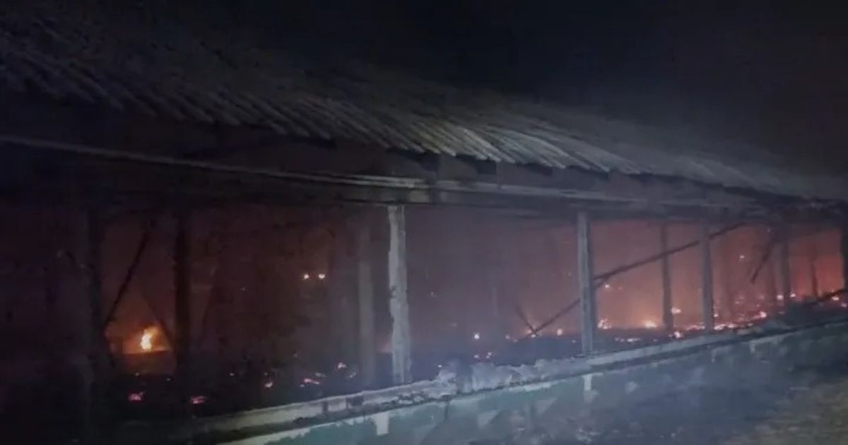 Incêndio em aviário mata 21 mil pintinhos na área rural do Paraná