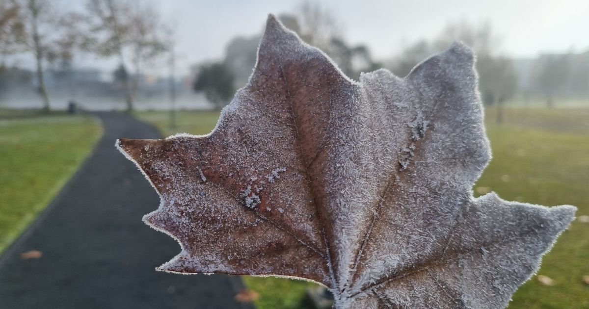 São Mateus do Sul terá manhãs geladas, previsão de geada e mínimas próximas de 3°C nos próximos dias