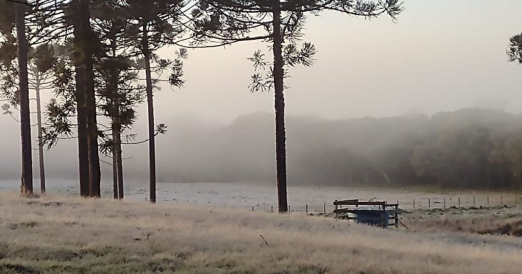 Frio ganha força: mínima registrada em São Mateus do Sul foi de -1,4 °C na manhã desta quarta-feira