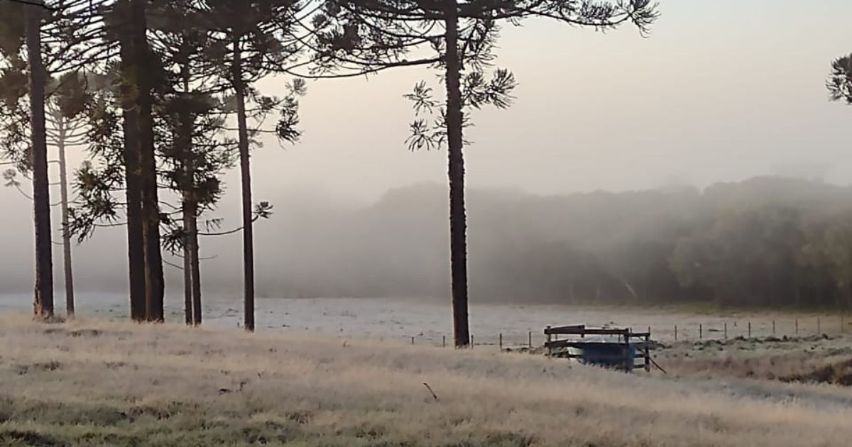 Frio ganha força: mínima registrada em São Mateus do Sul foi de -1,4 °C na manhã desta quarta-feira