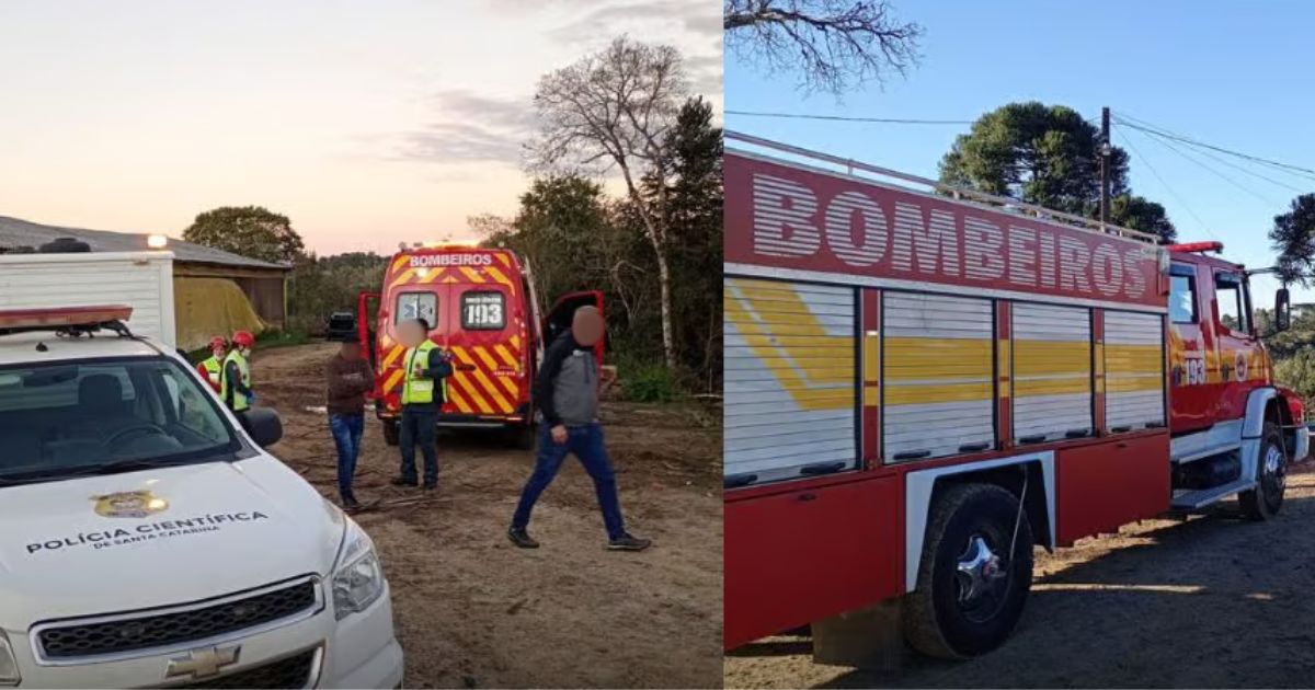 Homem morre atingido por árvore durante corte de madeira