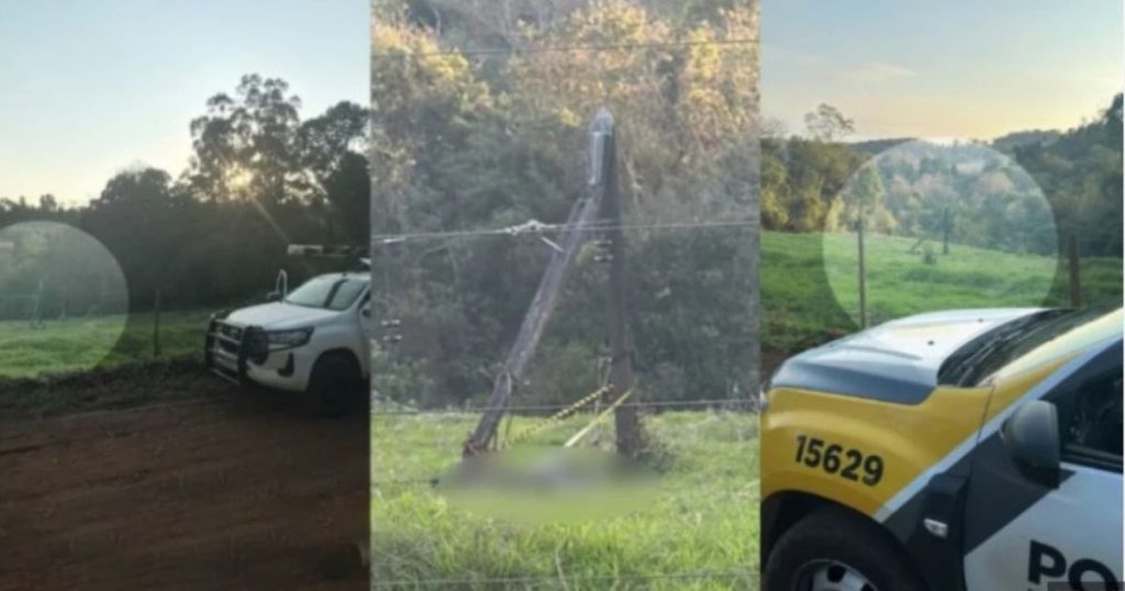 Manutenção em rede elétrica termina em tragédia no Paraná