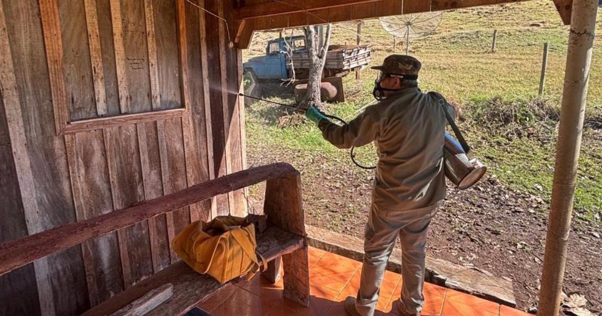 Vigilância e integração entre Estado e municípios fortalecem combate à doença de Chagas