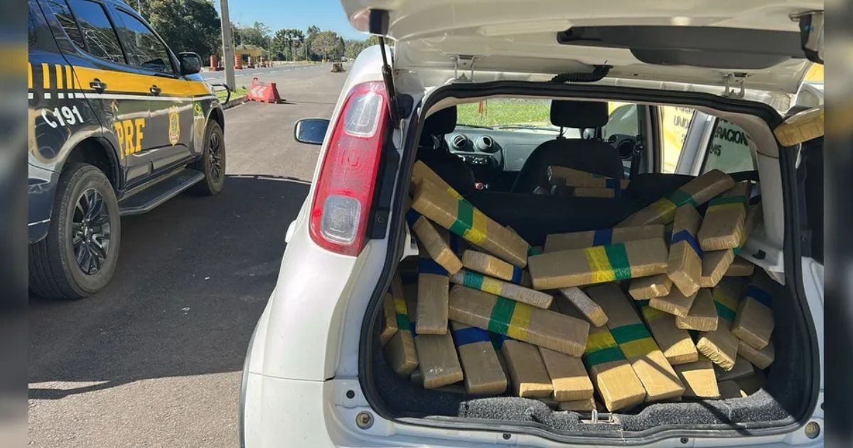 PRF encontra 152 kg de maconha escondidos no assoalho de carro em Irati