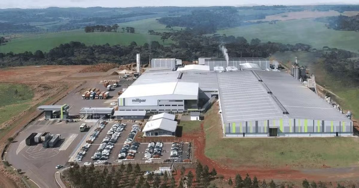 Madeireira desliga 130 funcionários mas mantém vale-alimentação