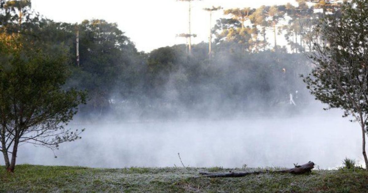 São Mateus do Sul registra mínima de -1,4 °C e frio intenso domina o Paraná