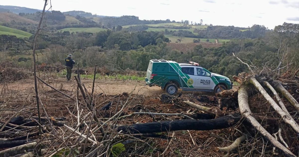 Polícia Ambiental autua proprietário por desmatamento ilegal em São Mateus do Sul
