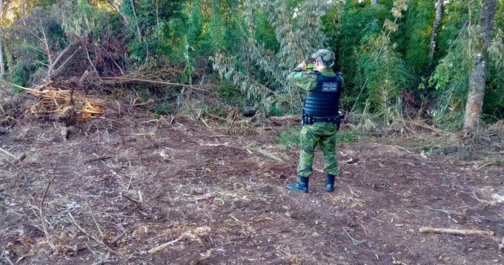 Polícia Ambiental autua em R$ 71 mil em multas por desmatamentos ilegais em Antonio Olinto