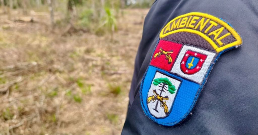 Polícia Ambiental autua responsáveis por desmatamento em Rio Azul e Antônio Olinto