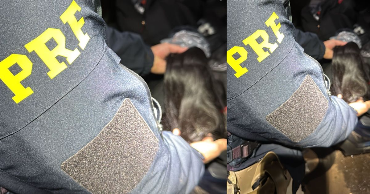 PRF apreende R$ 800 mil em cabelo humano com motorista no Paraná