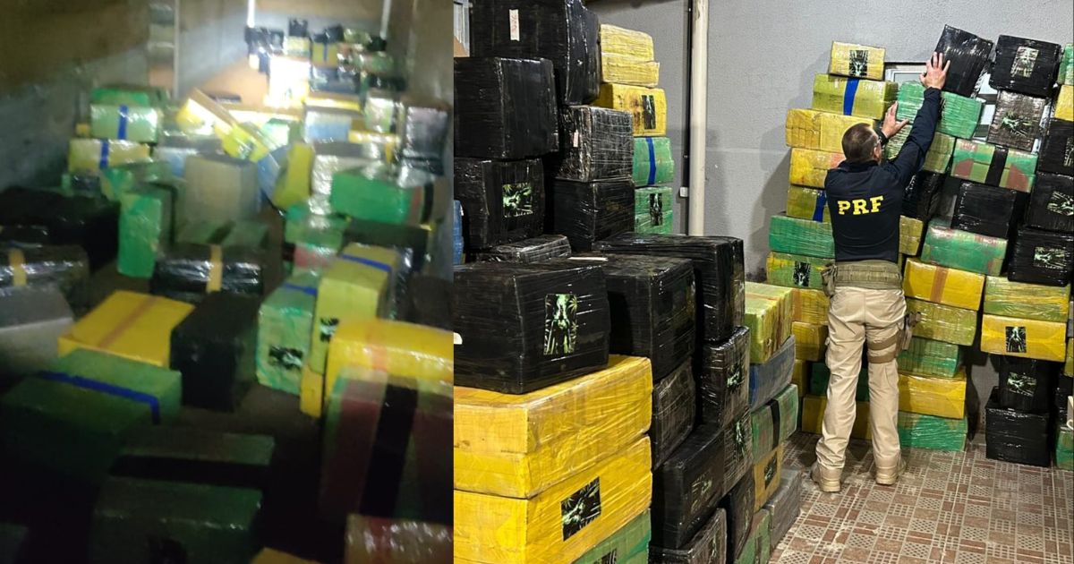 PRF apreende mais de 4 toneladas de maconha na BR-277 em Balsa Nova