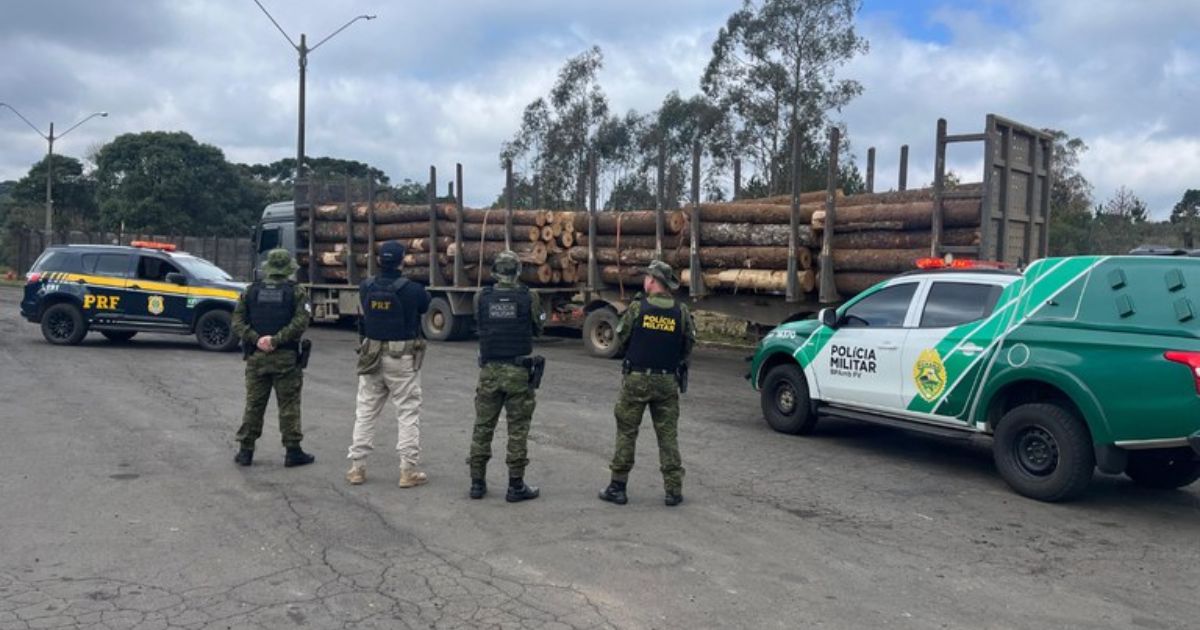 PRF e PM apreendem carreta com toras irregulares de Araucárias em Guarapuava