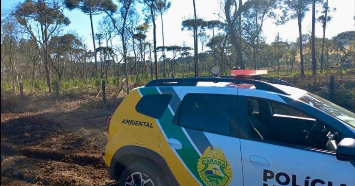 Crime Ambiental em Rio Azul resulta em multa de R$ 65 mil e embargo de área