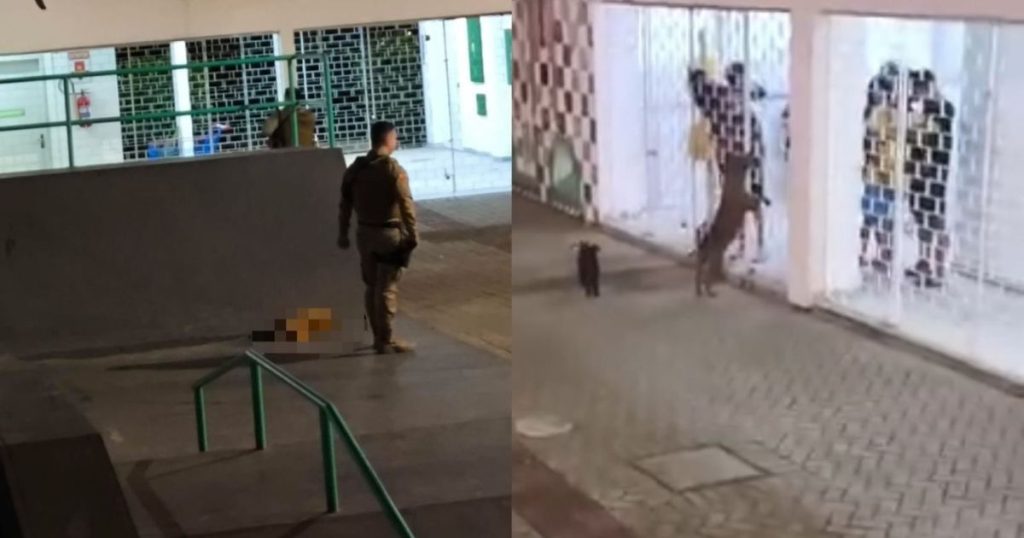 Suposto pit bull é morto pela PM após atacar criança e socorrista do SAMU