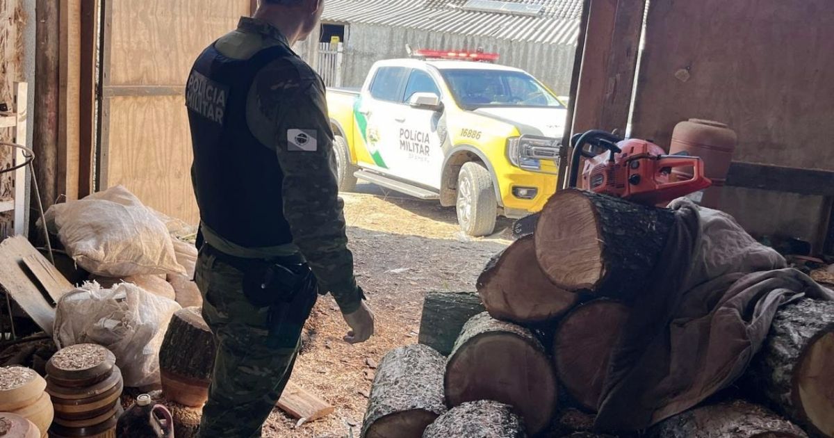 Polícia Ambiental apreende madeira nativa e motosserra irregular em Irati