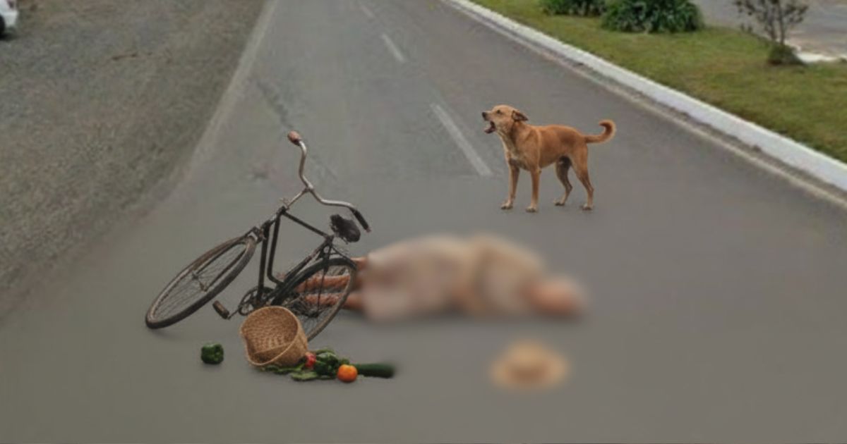 Idosa sofre queda de bicicleta após ser surpreendida por cachorro na rua em Três Barras