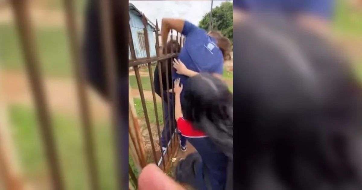 ‘Mata, mata’: estudante incita violência enquanto aluna é agredida no PR