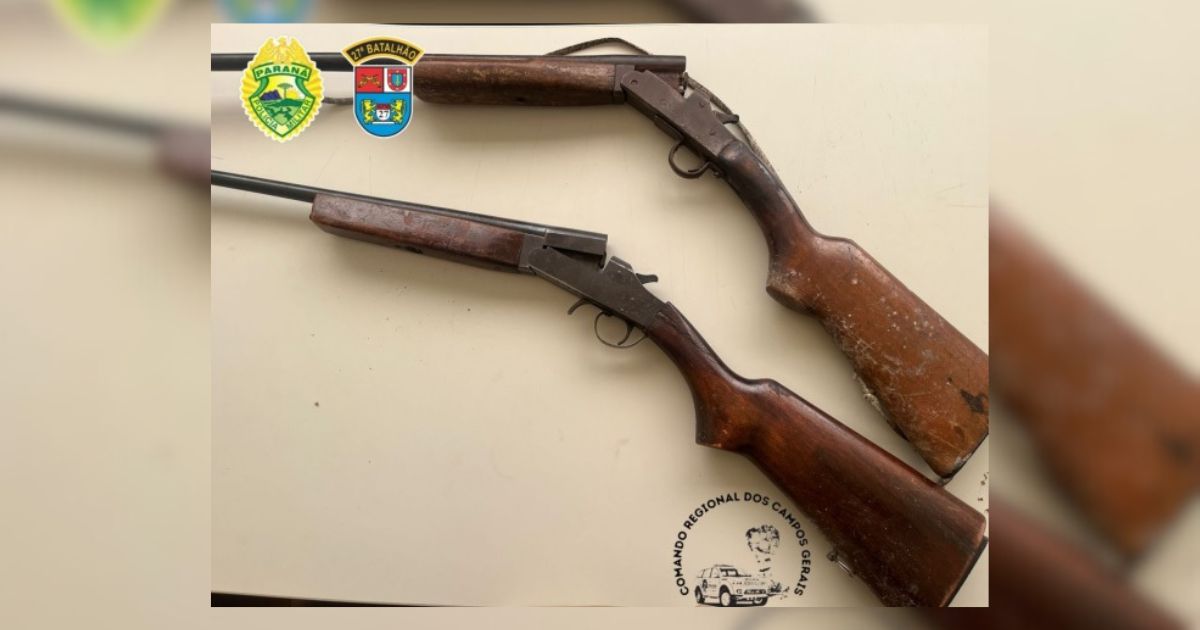 PM apreende duas armas de fogo abandonadas em área rural de Cruz Machado