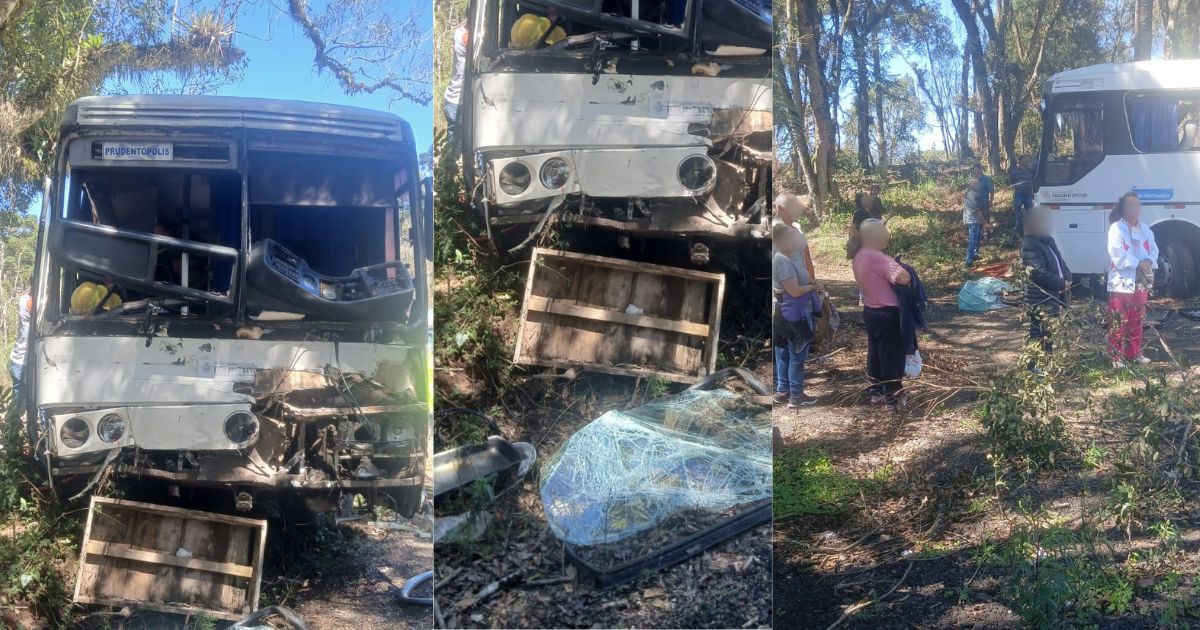 Acidente entre ônibus da Prefeitura de Prudentópolis e caminhão é registrado na BR-277