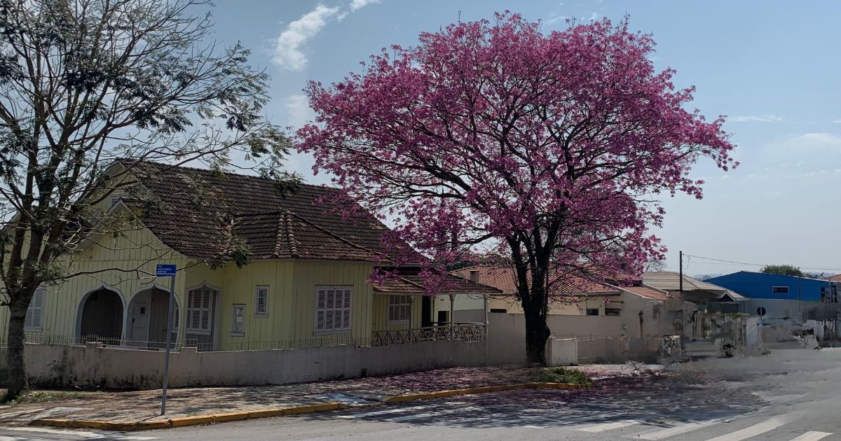 Primavera chega com frente fria, temporais e queda acentuada de temperatura
