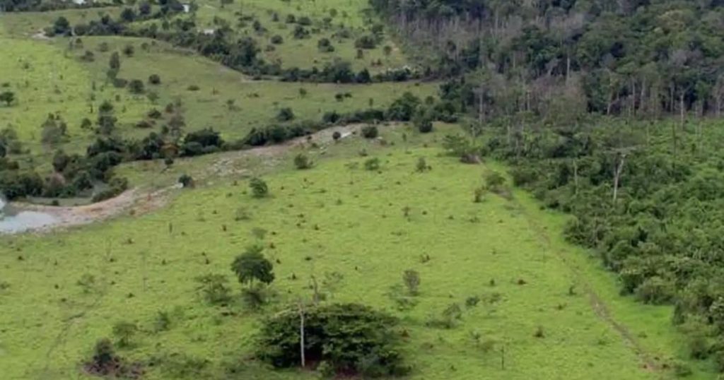 Governo prorroga prazo para georreferenciamento de imóveis rurais
