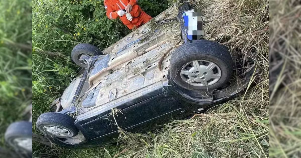 Criança sobrevive por dias ao lado dos pais mortos após acidente em rodovia