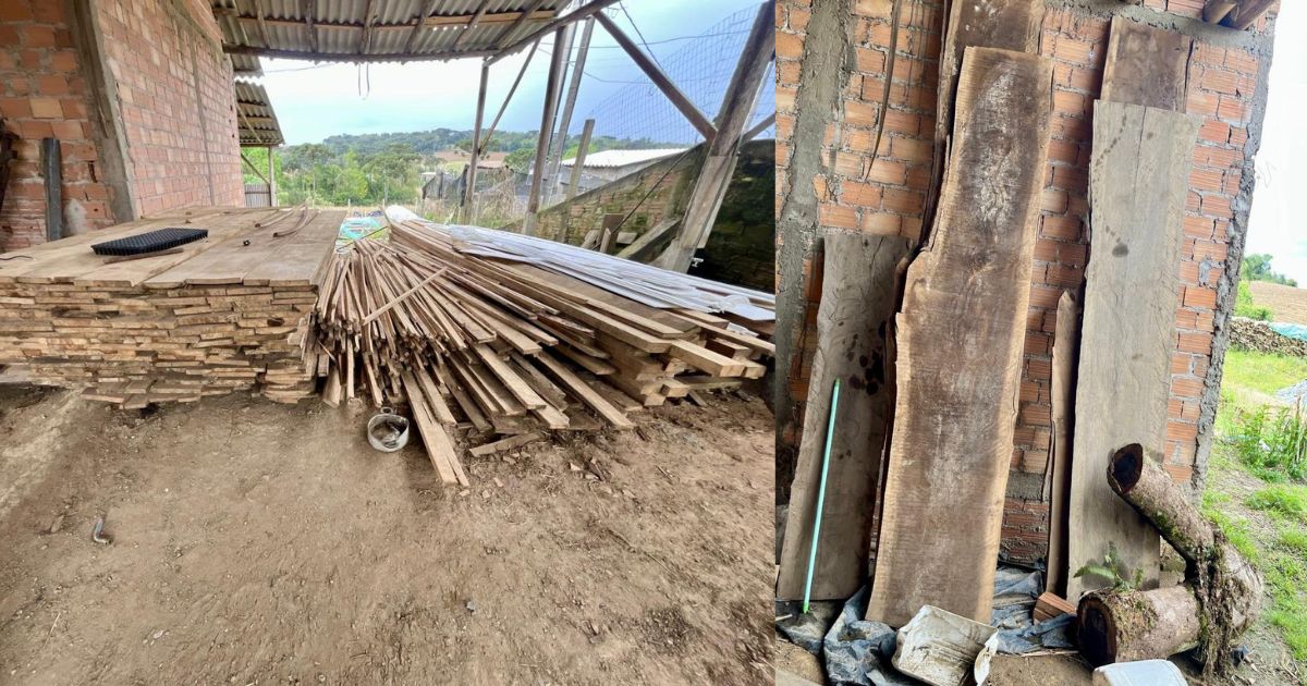 Polícia Militar Ambiental apreende madeira ilegal em Rebouças