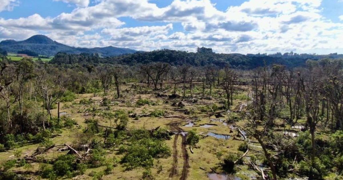 Destruição de 105 hectares de mata nativa gera multa de R$ 862 mil em Rio Azul