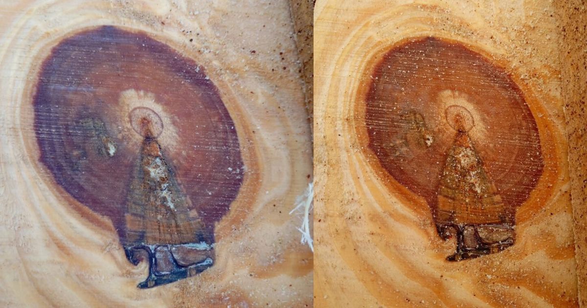 Imagem de Nossa Senhora Aparecida é encontrada em tronco de árvore e emociona moradores e internautas