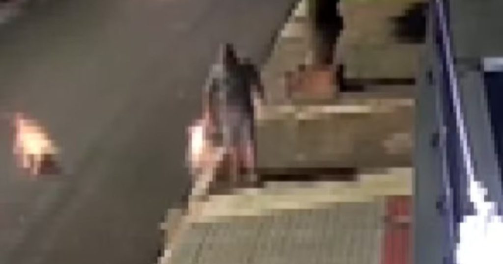 VÍDEO: homem perde a visão e orelha após sofrer ataque de dois pitbulls no Paraná