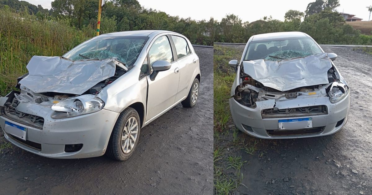 Colisão entre carro e cavalo mobiliza moradores na PR-364 entre Irati e São Mateus do Sul