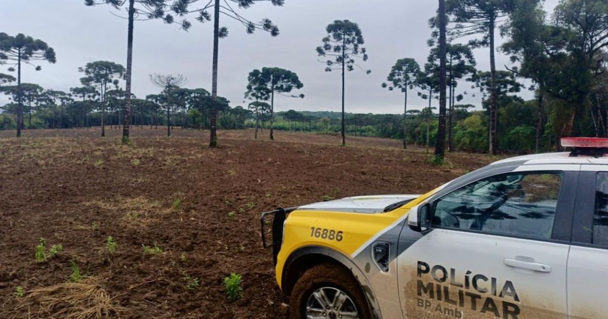 Produtor rural é multado em R$ 96 mil por reincidência e dano ambiental em Rio Azul