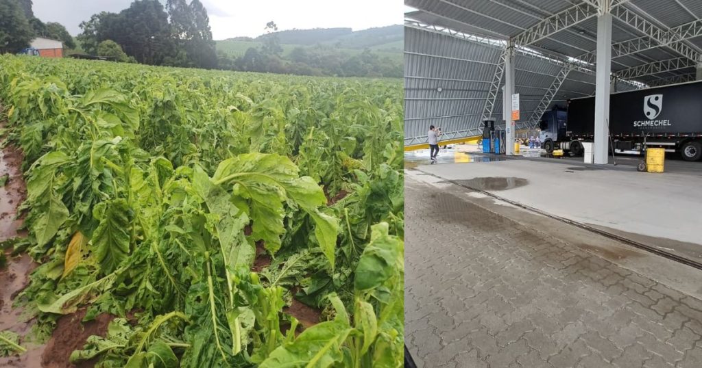 VÍDEO: chuva de granizo causa estragos em São João do Triunfo e São Mateus do Sul na tarde desta segunda