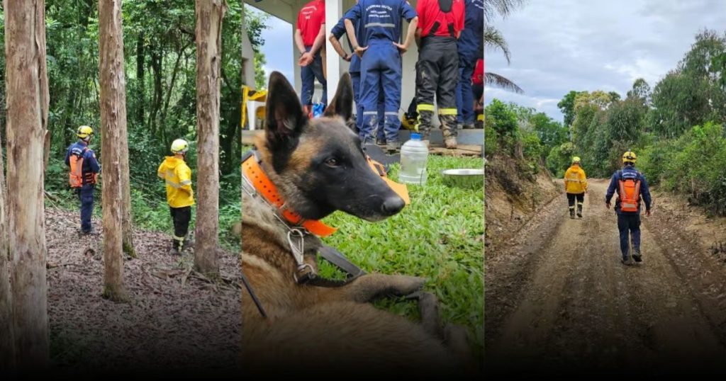Idoso desaparece em área rural de Papanduva e mobiliza operação de busca