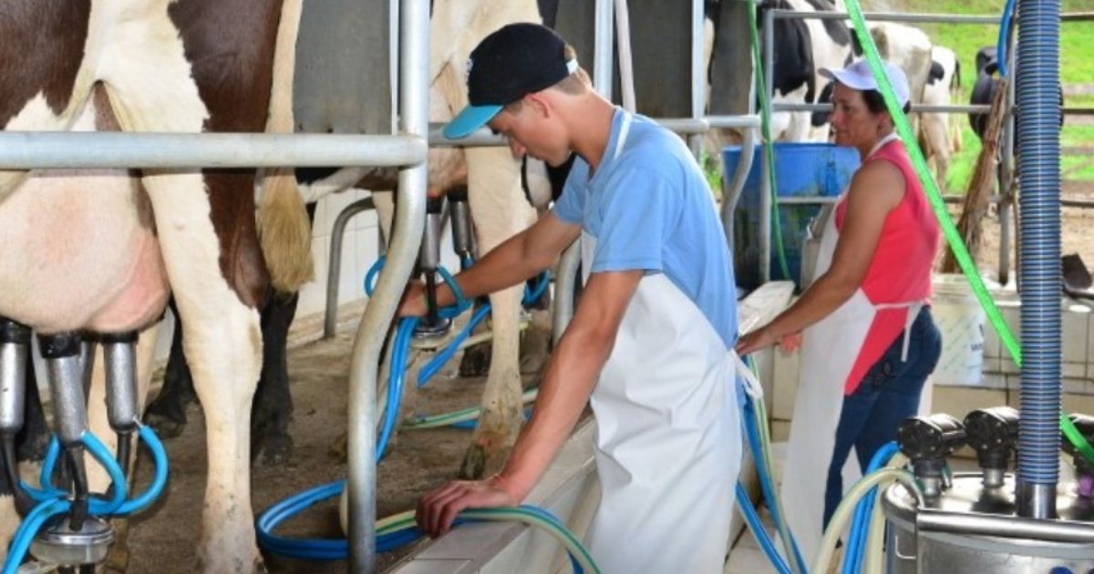 Crise do leite se agrava no Paraná e Sistema FAEP alerta: preço pago ao produtor não cobre custo de produção