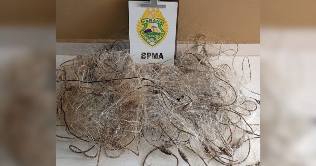 Pescador é preso por pesca irregular durante patrulhamento no Rio Iguaçu